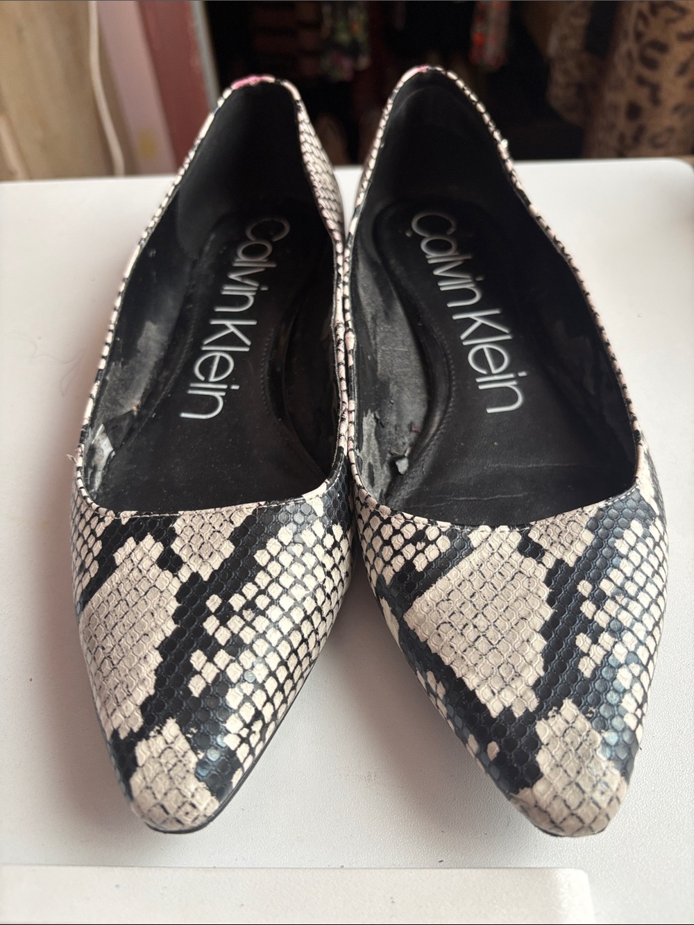Calvin Klein Women's Snake-Print Pointed Flats in Black and Cream